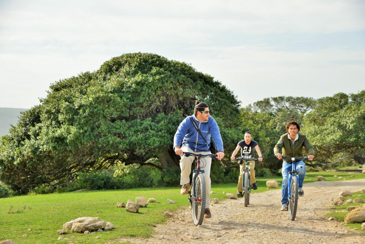 De Hoop Collection - Equipped Cottages De Hoop Nature Reserve 外观 照片