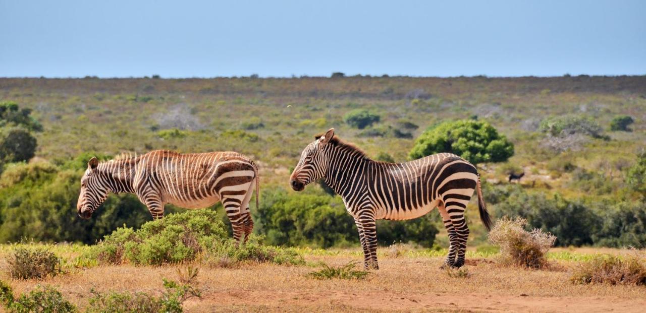 De Hoop Collection - Equipped Cottages De Hoop Nature Reserve 外观 照片